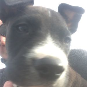 Meet your Posher, Kat